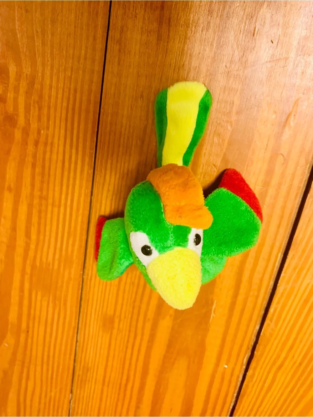 Born Pirates Coloring & Activity Book with 1001 pirate book & Plush Parrot